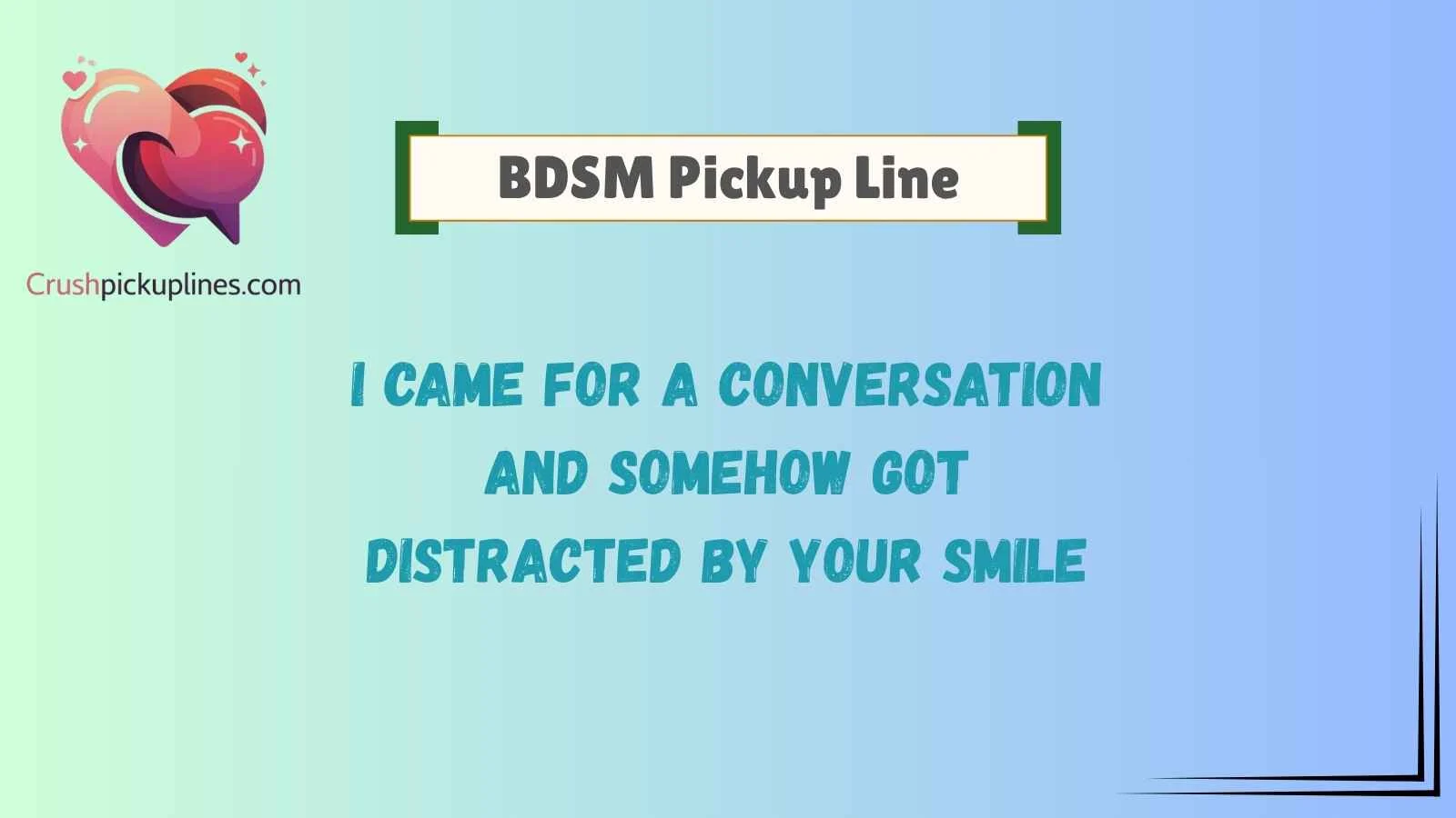 BDSM Pickup Line